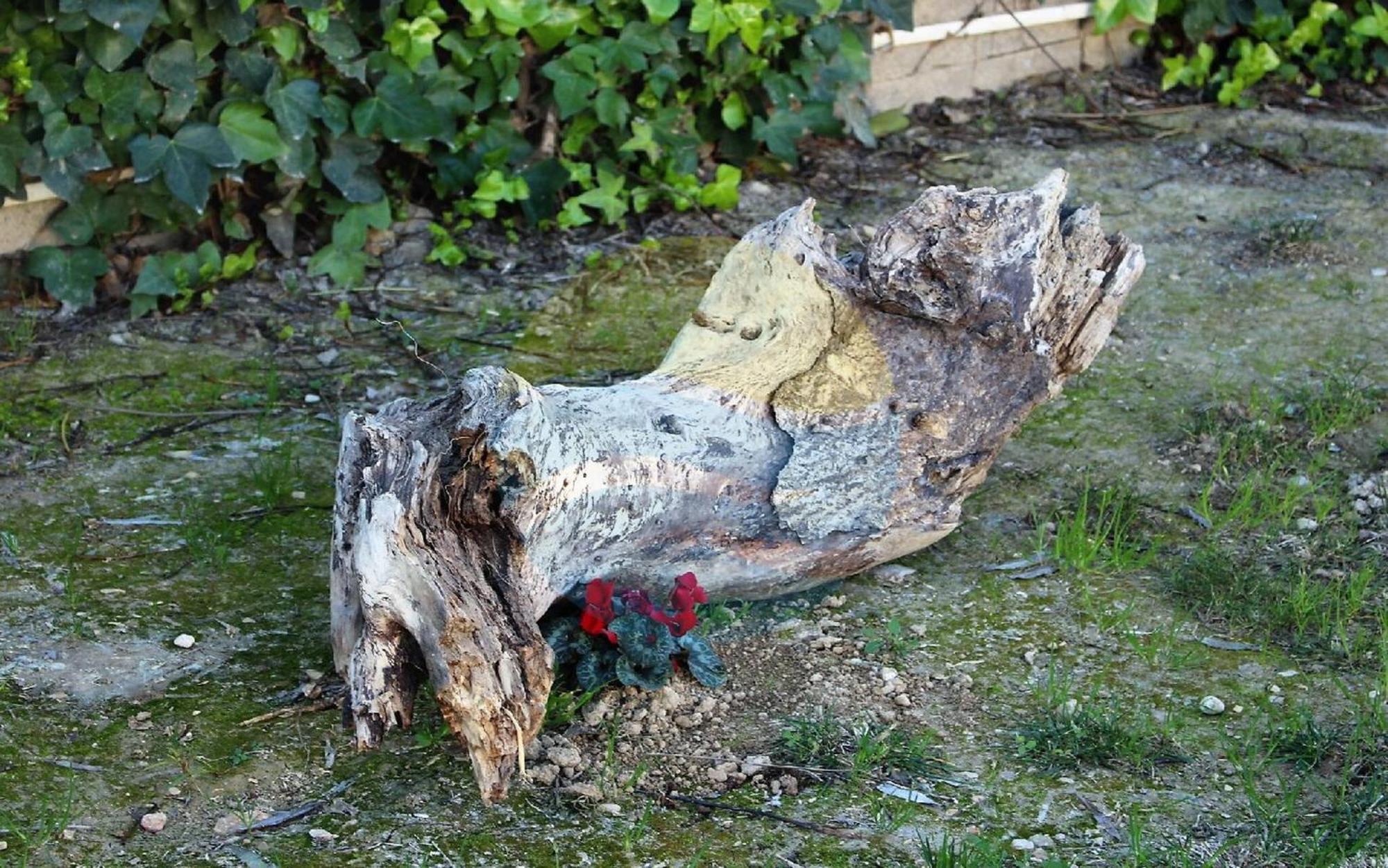 Barraca Tipica Del Delta, Con Piscina, Jardin Y Barbacoa - Deltavacaciones Villa Sant Jaume d'Enveja Buitenkant foto