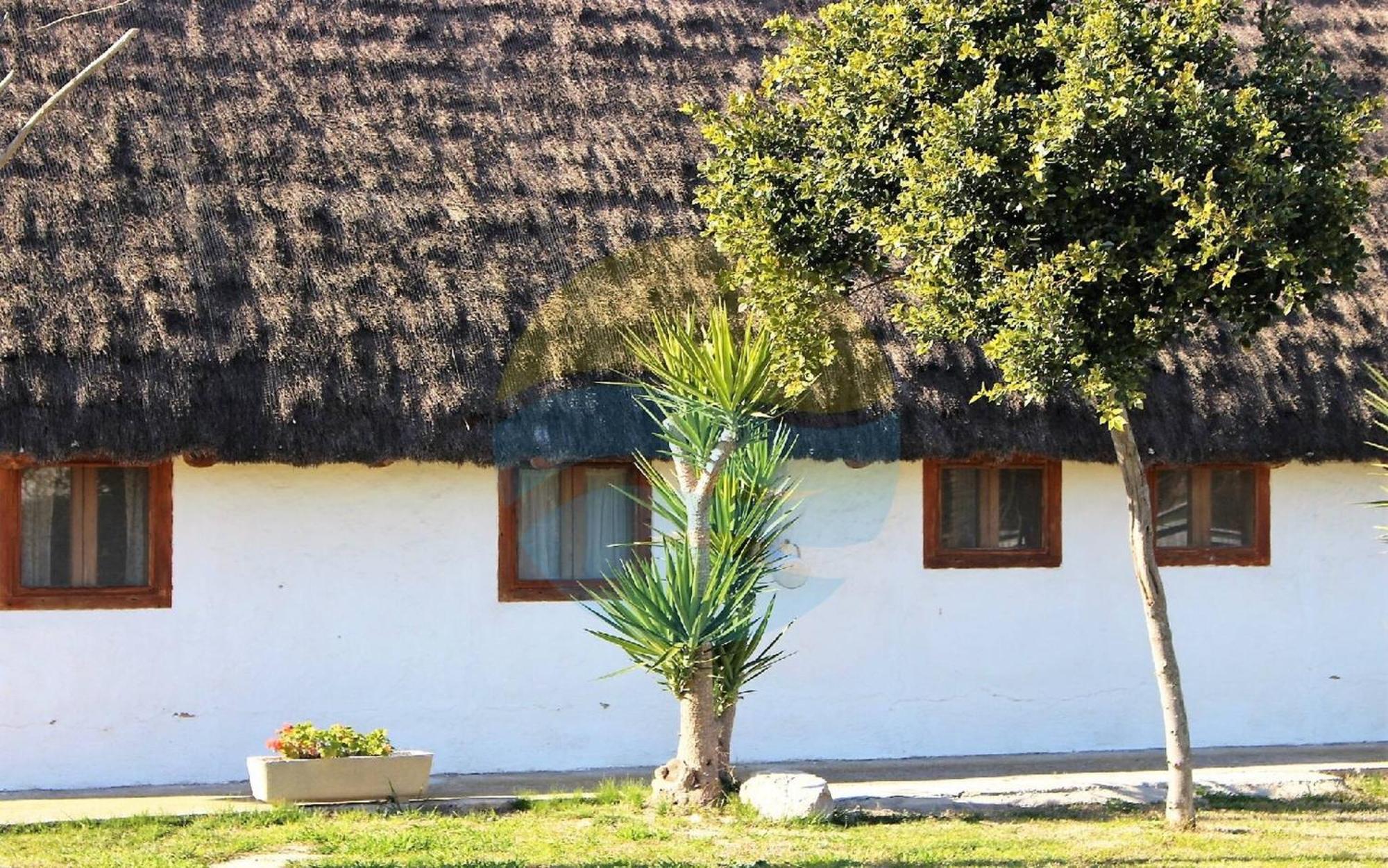 Barraca Tipica Del Delta, Con Piscina, Jardin Y Barbacoa - Deltavacaciones Villa Sant Jaume d'Enveja Buitenkant foto